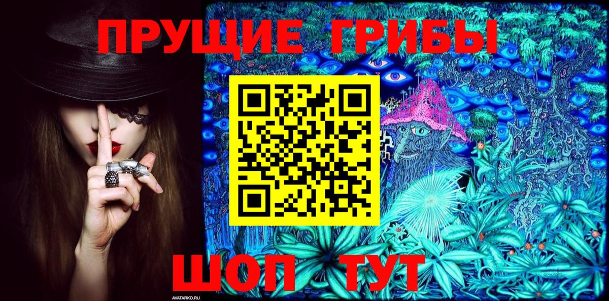 Псилоцибиновые грибы Psilocybine cubensis Юрга