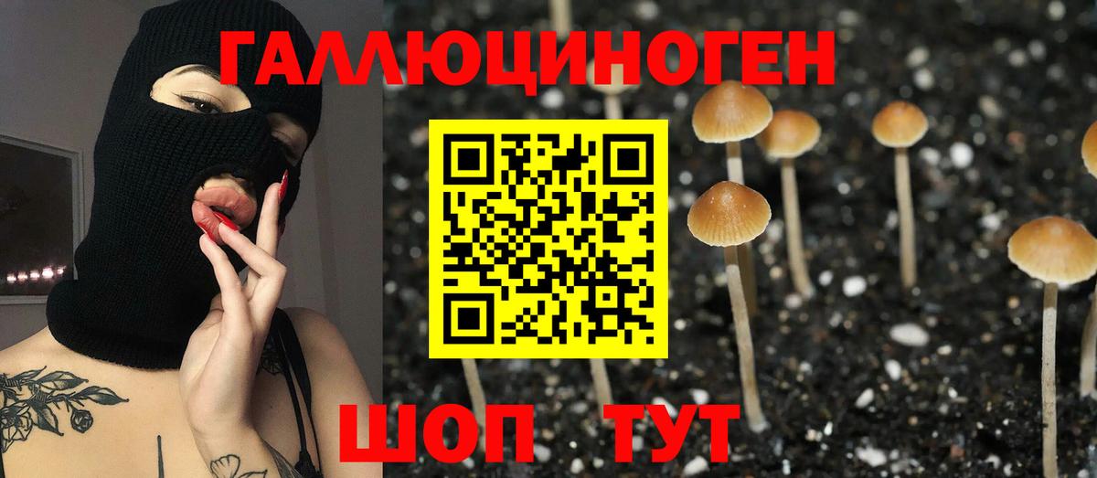 купить наркотики сайты  Псилоцибиновые грибы мухоморы  Вход с VPN  Юрга 