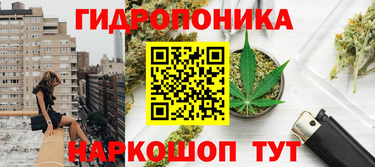 Бошки Шишки сатива Юрга